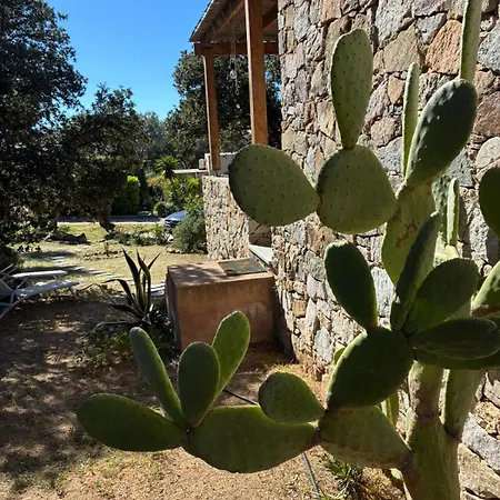 Con Vista Mare A 5 Minuti Dalla Apartamento Lumio (Corsica)